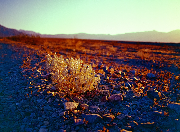 Early Morning in Death Valley